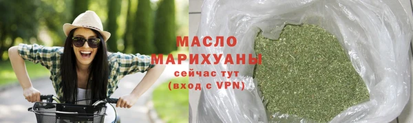 индика Волоколамск