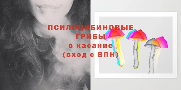 соль ск Волосово