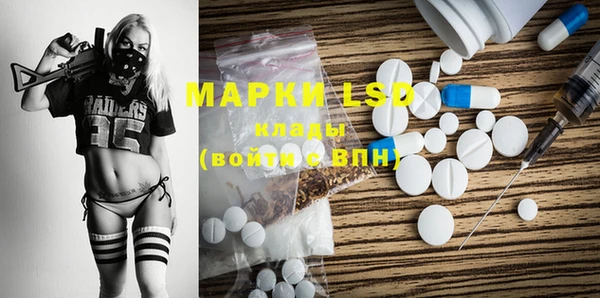 индика Волоколамск