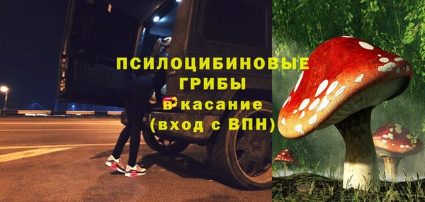 индика Волоколамск
