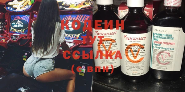 индика Волоколамск