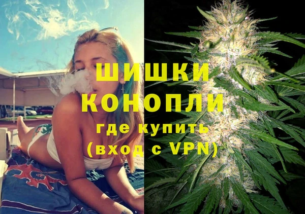 соль ск Волосово