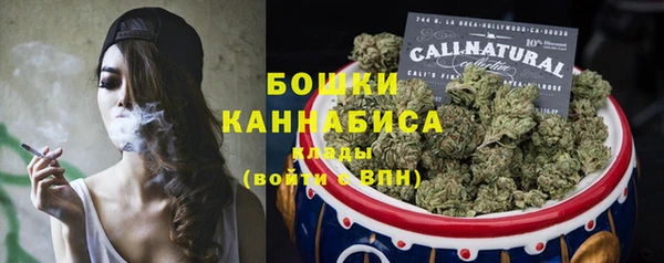 индика Волоколамск
