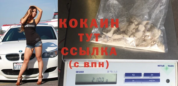 индика Волоколамск