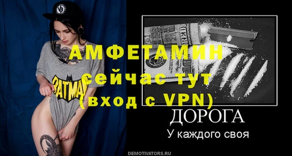 индика Волоколамск