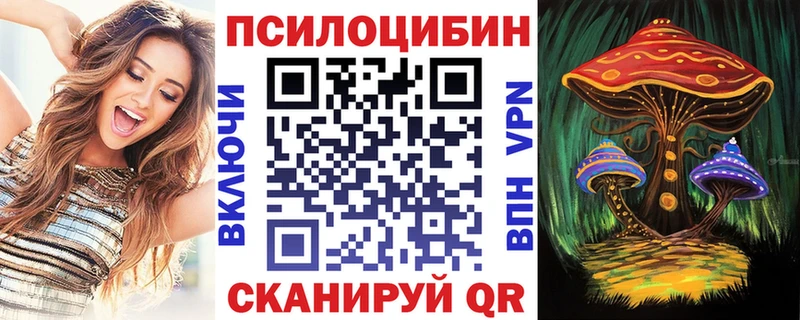 Псилоцибиновые грибы Cubensis  закладка  Калач 